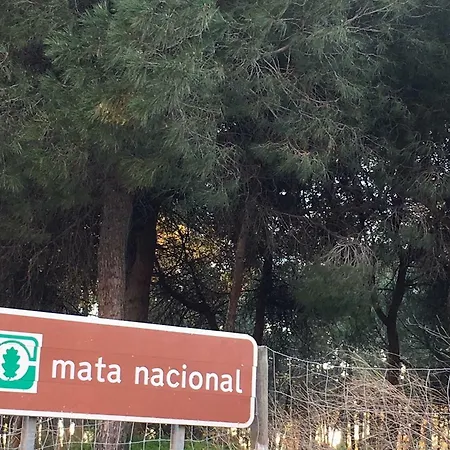 House Carmen Daire Monte Gordo